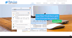 Desktop Screenshot of blueshoesoftware.com